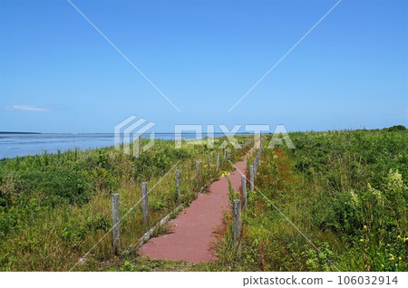 Kimuaneppu岬風景 Kimuaneppu岬風景 106032914