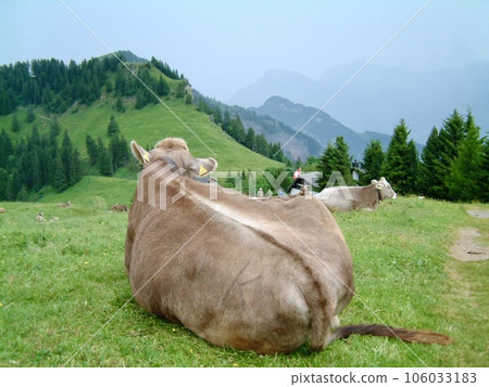 swiss mountain landscape swiss mountain landscape 106033183