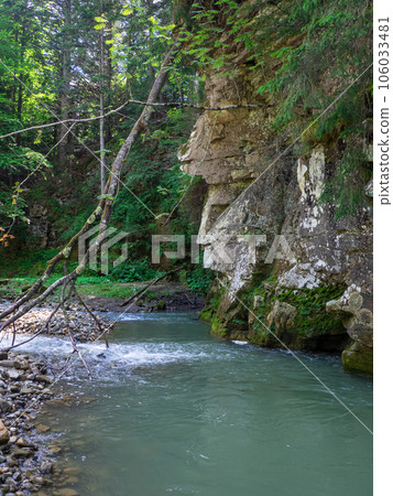 canyon with river and green trees in summer in Carpathian mountains canyon with river and green trees in summer in Carpathian mountains 106033481