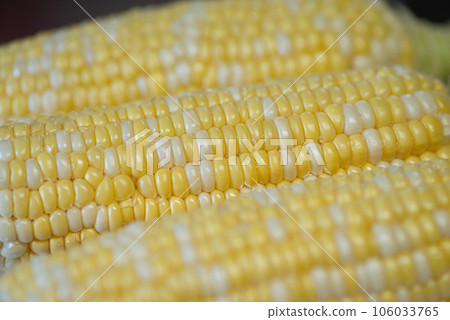 corn corn 106033765