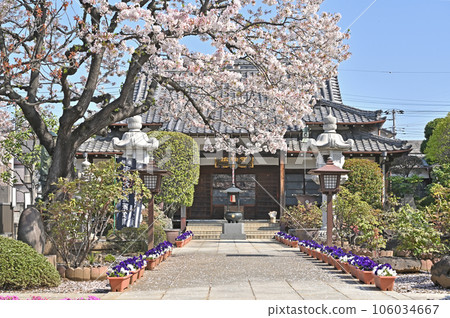 Kawaguchi Stroll: Hofuku-ji Temple, Chizan School of Shingon Buddhism, Kawaguchi Ichisato Kawaguchi Stroll: Hofuku-ji Temple, Chizan School of Shingon Buddhism, Kawaguchi Ichisato 106034667