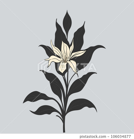 lily flower aesthetic, vector illustration lily flower aesthetic, vector illustration 106034877