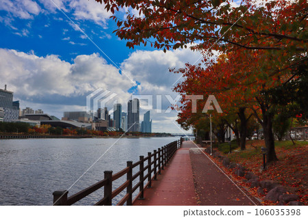 Aerial View of Autumn Centum City, Haeundae, Busan, South korea, Asia Aerial View of Autumn Centum City, Haeundae, Busan, South korea, Asia 106035398