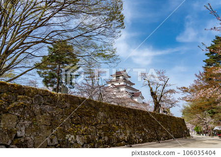 Aizuwakamatsu City, Fukushima Prefecture The castle tower and stone walls of Aizuwakamatsu Castle in spring with cherry blossoms Aizuwakamatsu City, Fukushima Prefecture The castle tower and stone walls of Aizuwakamatsu Castle in spring with cherry blossoms 106035404