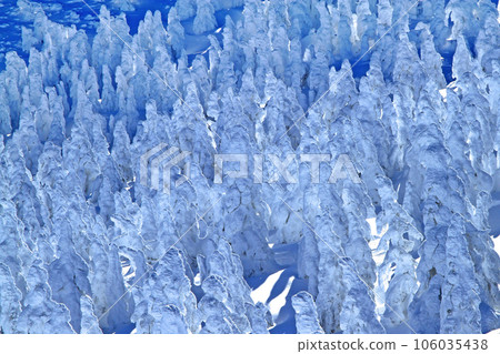 Spectacular panorama of frost-covered trees: Zao's frost-covered trees 106035438