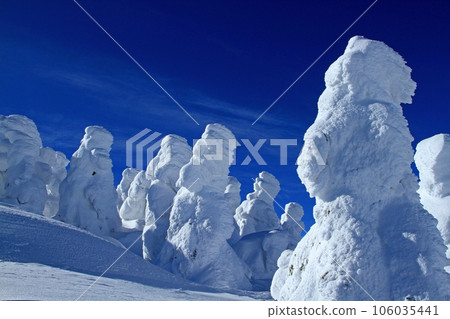 壯觀的霜樹全景:藏王的霜樹 壯觀的霜樹全景:藏王的霜樹 106035441