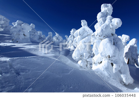 Spectacular panorama of frost-covered trees: Zao's frost-covered trees Spectacular panorama of frost-covered trees: Zao's frost-covered trees 106035448