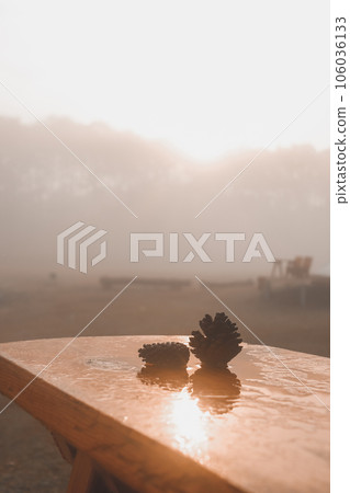 Pine cones lay on a wooden table in a dry meadow in the dry season. Thung Salaeng Luang National Park, Phitsanulok Province, Thailand Pine cones lay on a wooden table in a dry meadow in the dry season. Thung Salaeng Luang National Park, Phitsanulok Province, Thailand 106036133