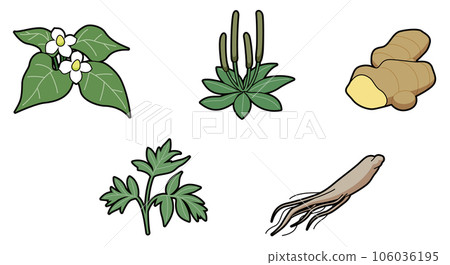 Kampo herbal medicine illustration set 106036195
