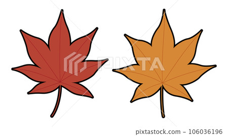 Autumn leaves maple illustration 106036196
