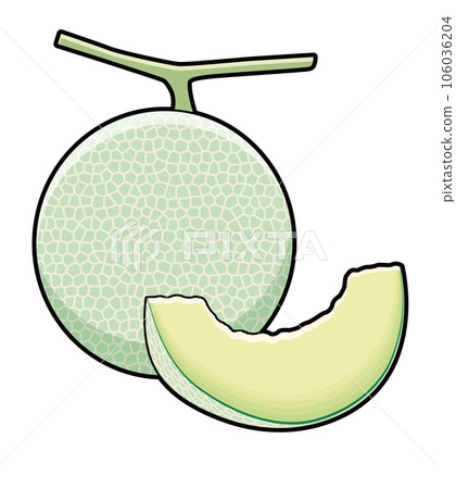 Melon illustration Melon illustration 106036204