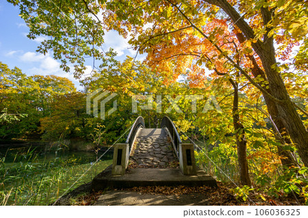 初秋大沼公園散步風景 初秋大沼公園散步風景 106036325