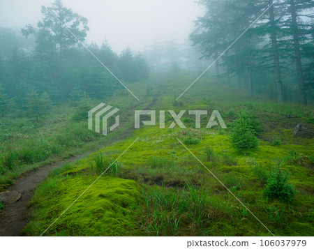 Head to Mt. Kasatori 106037979