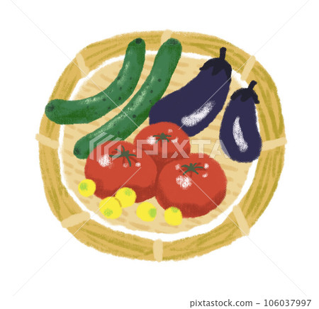 籃子裡的夏季蔬菜 106037997