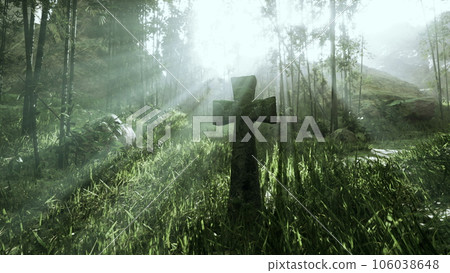 weather-beaten grave marker in the tropical forest 106038648