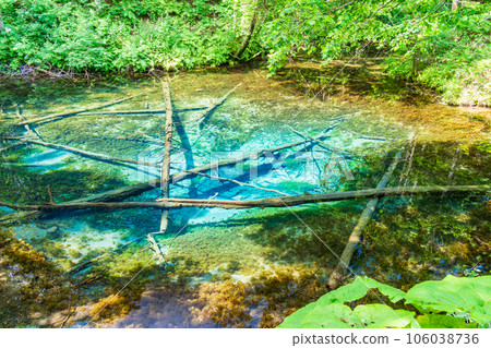 (北海道)神子池 夏天 (北海道)神子池 夏天 106038736