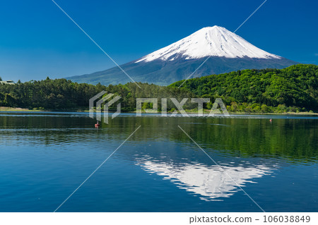 [Yamanashi Prefecture] Mount Fuji in early summer and the fresh greenery of Lake Kawaguchi 106038849