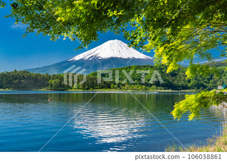 【山梨縣】初夏的富士山、河口湖畔的新綠 106038861