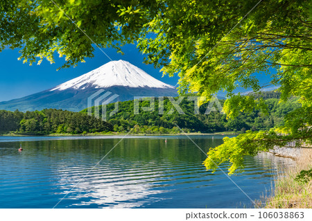 【山梨縣】初夏的富士山、河口湖畔的新綠 106038863