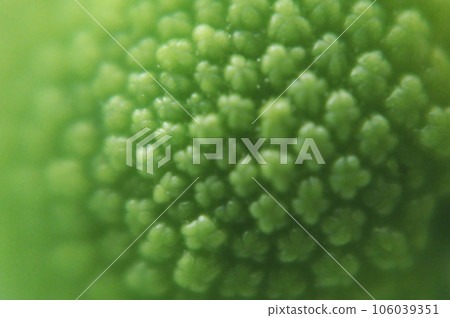 green color background abstract, flower macro picture, texture of flower pollen, soft background, 106039351