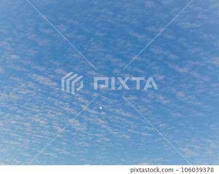 Fish Scale Cloud 03 Fish Scale Cloud 03 106039378
