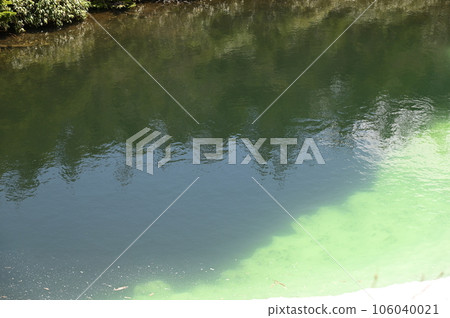 Spectacle Swamp Water Spectacle Swamp Water 106040021