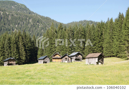 Beautiful natural scenery of Austria's vast alpine meadow Blaa-Alm 106040102