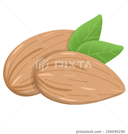 almond kernels 106040290