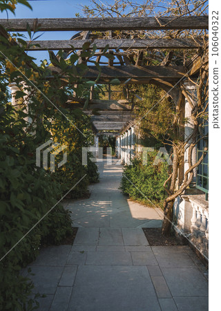 Tree and creeper plants growing on old colonnade. Covered walkway at The Hill Garden and Pergola during sunny day. Beautiful view of park in Hampstead Heath. 106040322