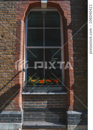 Flowers growing on box at old building. Decoration on glass window in city during sunny day. Shadow falling on brick wall. Flowers growing on box at old building. Decoration on glass window in city during sunny day. Shadow falling on brick wall. 106040421