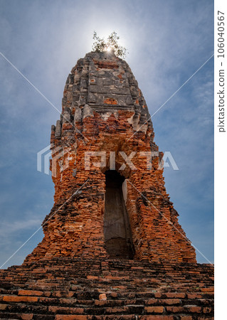 泰國大城府的 Wat Lokaya 星佛教遺址 泰國大城府的 Wat Lokaya 星佛教遺址 106040567