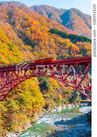 Kurobe Gorge in Autumn: Torokko Train Running on Shinyamabiko Bridge Kurobe Gorge in Autumn: Torokko Train Running on Shinyamabiko Bridge 106041020
