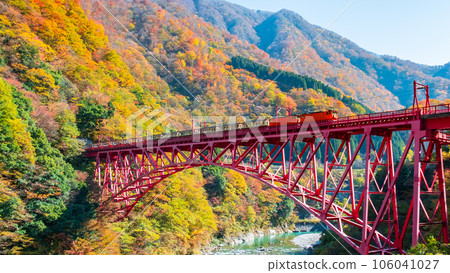 Kurobe Gorge in Autumn: Torokko Train Running on Shinyamabiko Bridge Kurobe Gorge in Autumn: Torokko Train Running on Shinyamabiko Bridge 106041027