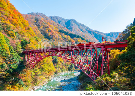 Kurobe Gorge in Autumn: Torokko Train Running on Shinyamabiko Bridge Kurobe Gorge in Autumn: Torokko Train Running on Shinyamabiko Bridge 106041028