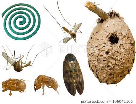 Cutout PSD material-insects (mosquitoes, cicadas, wasp nests) 106041166