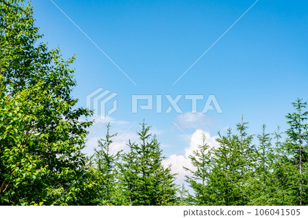 New green image New green image 106041505
