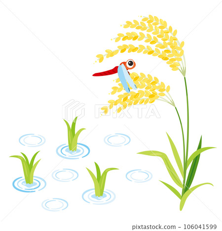 稻穗、稻苗和紅蜻蜓 106041599