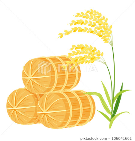 大米和穗飯 大米和穗飯 106041601