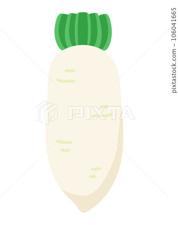 Illustration of a simple radish 106041665