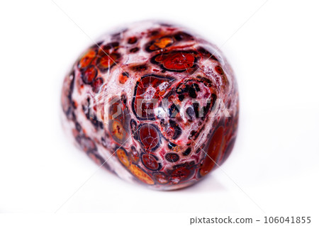Macro mineral stone Jasper leopard on white background 106041855