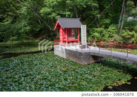 Niimi City, Okayama Prefecture Nyoninkoya Saidoji Pond Water Lily 106041878