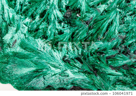 Macro mineral stone plisoviy, plush, satin malachite on a white background Macro mineral stone plisoviy, plush, satin malachite on a white background 106041971