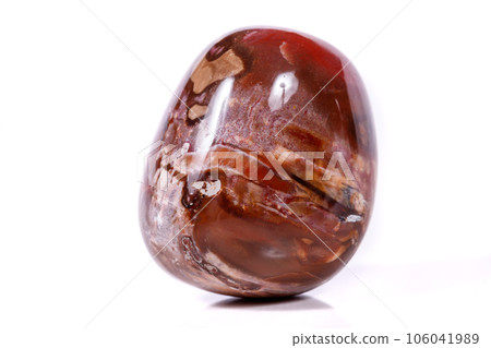 Macro mineral stone ground petrified tree on white background Macro mineral stone ground petrified tree on white background 106041989
