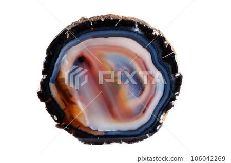 Macro mineral stone Yellow, brown Agate breed a white background 106042269