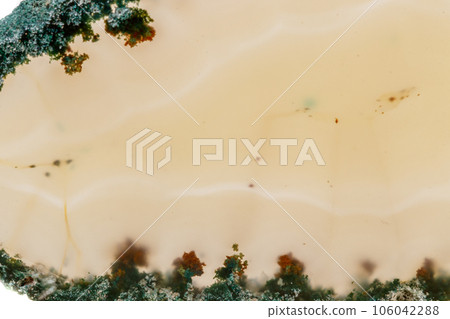 Macro mineral stone Yellow Agate breed a white background 106042288