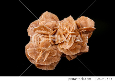 Macro mineral stone desert rose or sand rose on a black background Macro mineral stone desert rose or sand rose on a black background 106042373