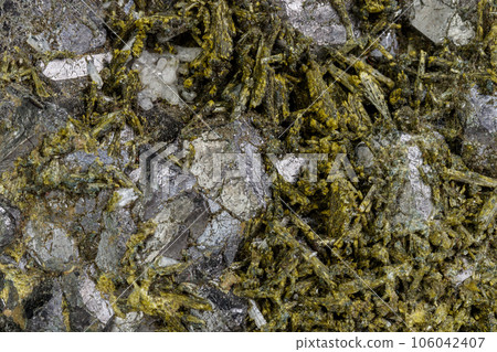 Macro mineral Epidote stone on a white background 106042407