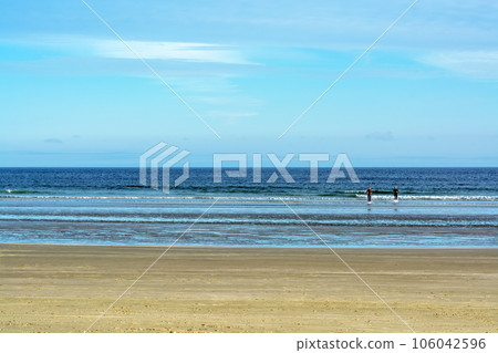 Two divers are step out to the land of ocean bay on Vancouver island 106042596
