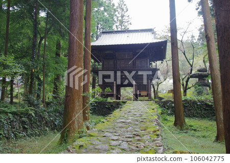 The main gate of Ryuonji Temple [Ogose Town, Saitama Prefecture] 106042775