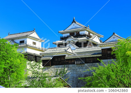 [Ehime Prefecture] Matsuyama Castle in sunny weather (large and small keep) 106042860